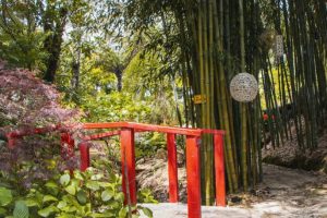 First-timers boost Taranaki festival spend